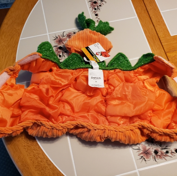 DOG COSTUME PUMPKIN - Picture 12 of 12